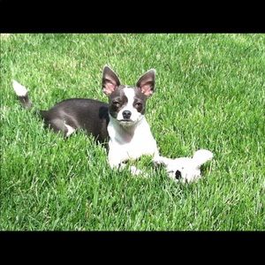 Meet your Posher, Scott